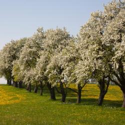 Waidhofen an der Ybbs 15 holiday rentals