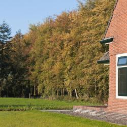 Voorthuizen 47 cabins