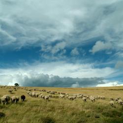 Meyrueis 6 chỗ nghỉ tự nấu nướng