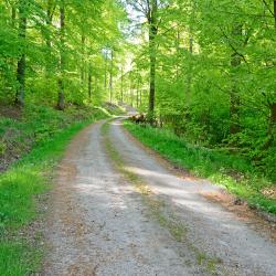 Plailly 4 hoteles econ&oacute;micos