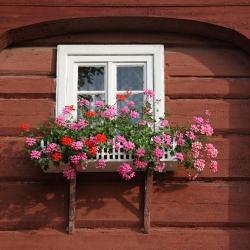Kurort Oybin 4 bed and breakfast