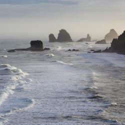 Punakaiki 19 hotels