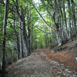 Lizzano in Belvedere 13 hot&eacute;is com estacionamento