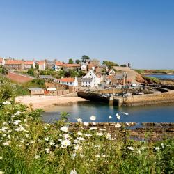 Crail 44 of the cottages