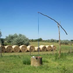 Kiskunmajsa 3 bed and breakfast