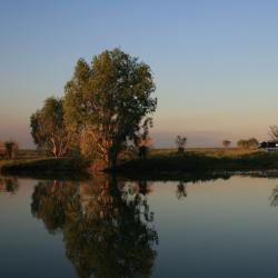 Jabiru 3 hotels