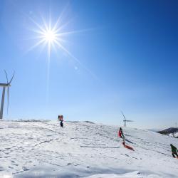 Pyeongchang 9 resorts