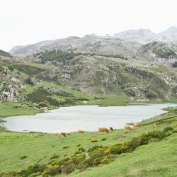 Soto de Cangas 4 country houses