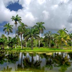 Miami Gardens 47 hotel