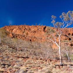 Flinders Ranges 6 hotelů