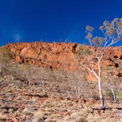 Flinders Ranges 6 hotell