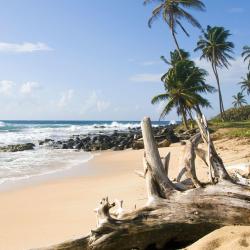 Corn Island 20 hoteles