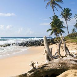 Corn Island 5 guest houses