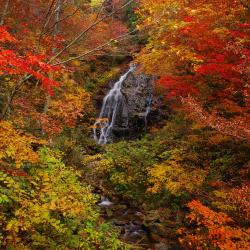 米澤 4 間傳統日式旅館