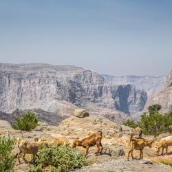 The 10 Best Jabal Akhdar Hotels Where To Stay In Jabal Akhdar Oman
