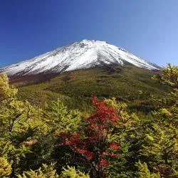 鳴沢村 7軒のグランピング施設