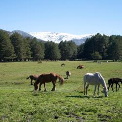 Piedrahita 3 hotels with parking
