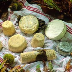 Mignaloux-Beauvoir 14 hot&eacute;is com estacionamento