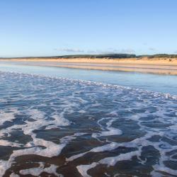 Waipu 9 of the holiday rentals