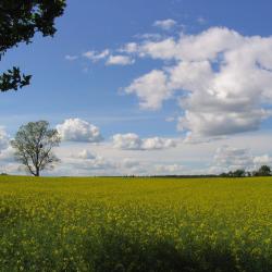 安格爾明德 38 間有停車位的飯店