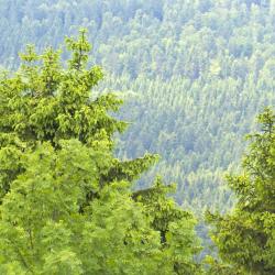 Neuhaus am Rennweg 8 resorts de esqu&iacute;