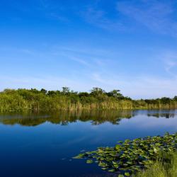 Spier 8 vakantiehuizen