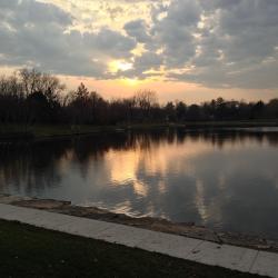 Carol Stream 3 hotely
