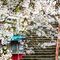 Fukuchiyama 10 hotels with parking