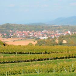 Friesenheim 30 hotelů