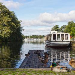 Ry 15 hotels with parking