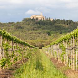 San Clemente 8 hotels