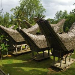 Rantepao 63 hotels