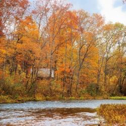 Earth City 6 pet-friendly hotels
