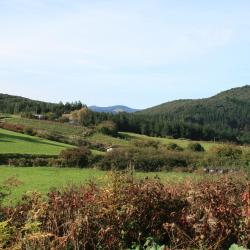 Carranza 5 hotels with pools