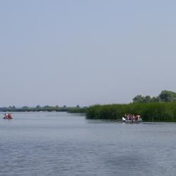 Berekfürdő 11 holiday rentals
