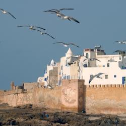 Ghazoua 12 Hotels