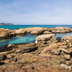Tuross Heads 14 hotels