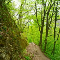 Krapina 7 holiday homes