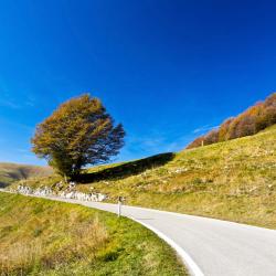 Cermes 3 hoteles con spa