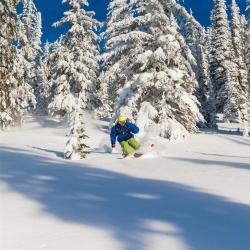 Rossland 26 hotels