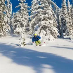Rossland 26 hotels