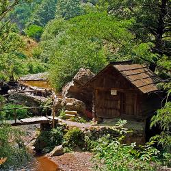 Poiana Mărului 3 guest houses