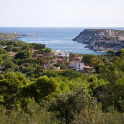 Capraia 10 pet-friendly hotels