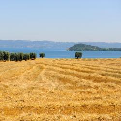 Acquapendente 10 pensiuni agroturistice