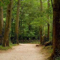 Jaraba 3 καταλύματα με κουζίνα