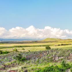 Waimea 9 allotjaments