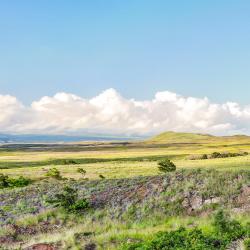 Waimea 23 hotels