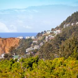 Oceanside 4 Hotels am Strand