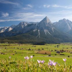 Zams 7 alojamientos con cocina