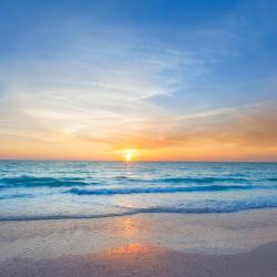 Redington Shores 4 hot&eacute;is que aceitam pets